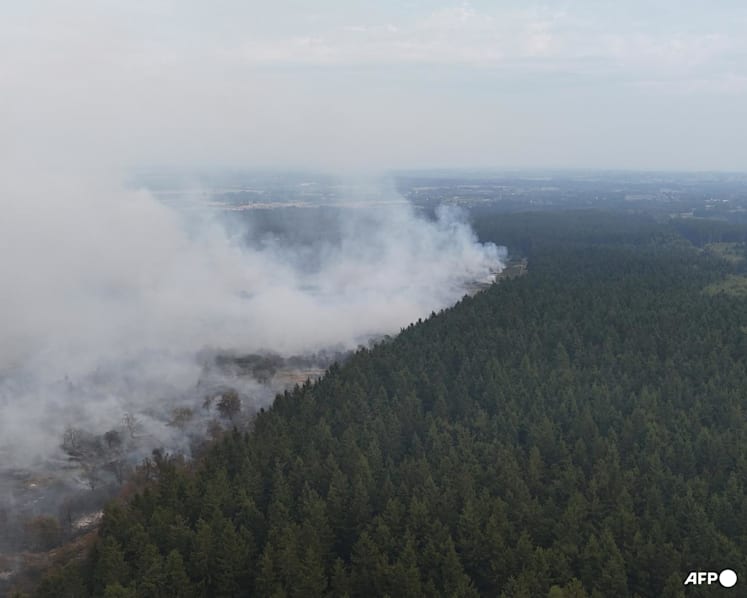 Belgium counts on air support as record wildfire jumps in size