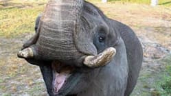 Related article image