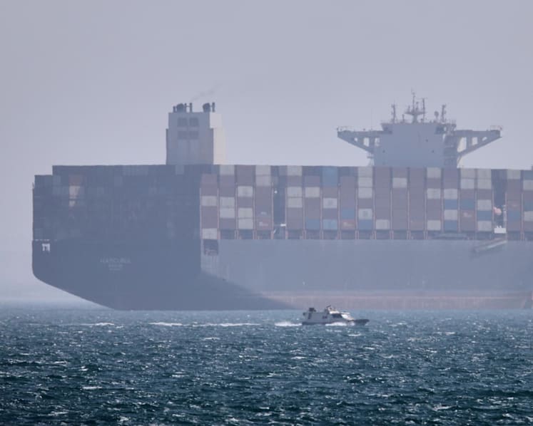 Tens of millions risk hunger as Hormuz standoff blocks fertiliser, UN official says