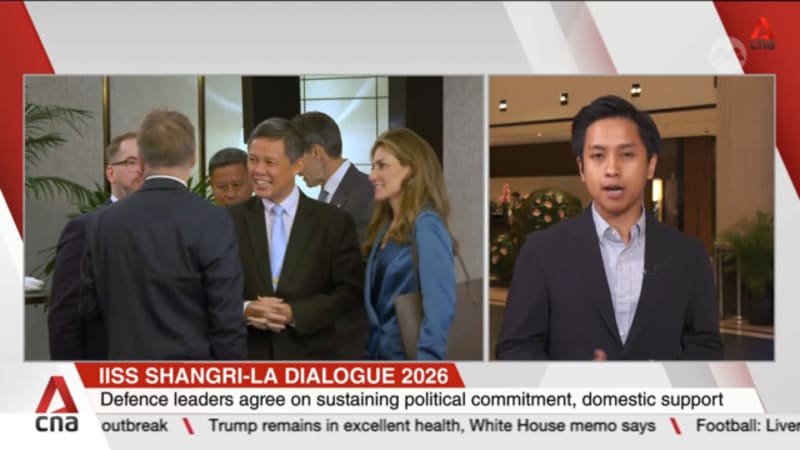 Defence ministers at Shangri-La Dialogue agree on importance of credible ties to secure global peace 