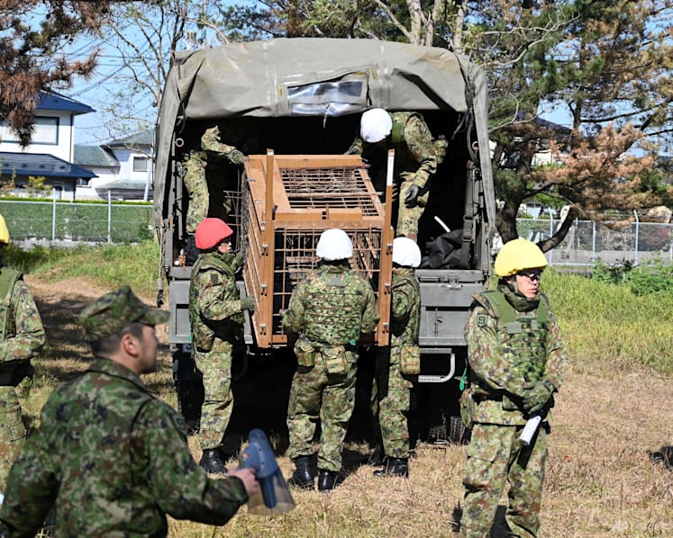 Japan sends troops to combat deadly wave of bear attacks