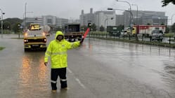 Related article image