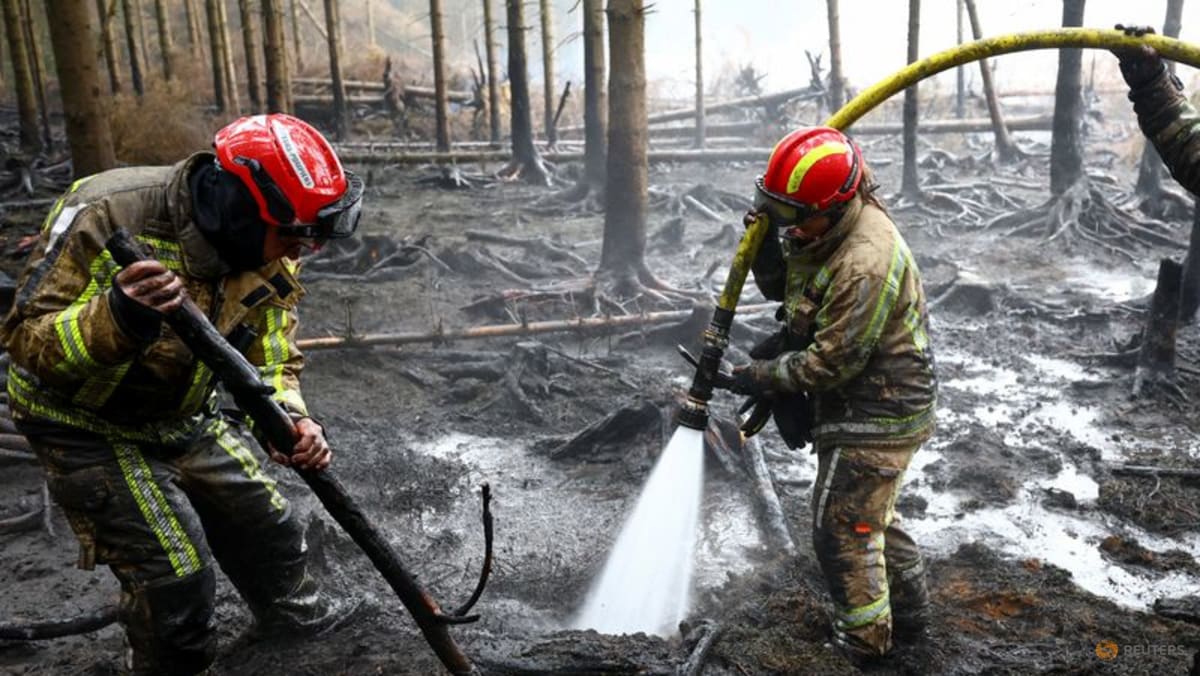 Evacuation orders lifted in Belgian wildfire zone