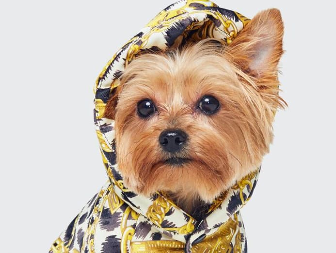Moschino dog hoodie shop