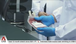 Cord blood banks see surge in calls after Cordlife's latest lapses 