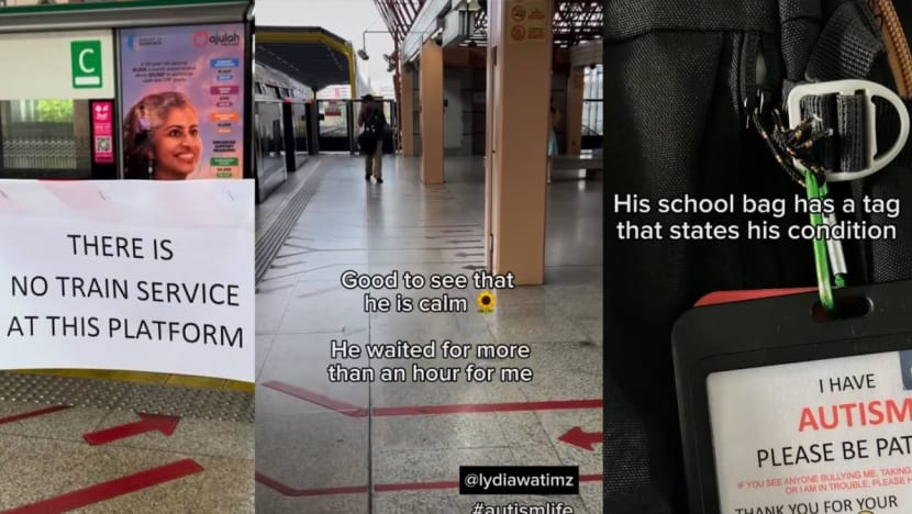 Ibu remaja autistik kongsi detik cemas anak hadapi gangguan khidmat MRT sendirian