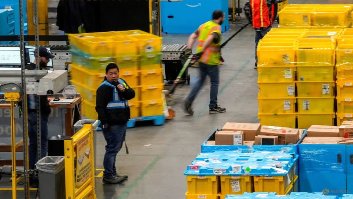 Analysis:Strong start to online holiday shopping masks signs of a fragile US consumer