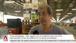 Wholesalers in Singapore say haze affecting vegetable size, supply and prices