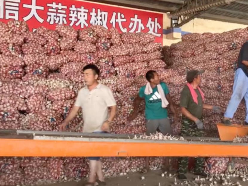 A wholesale market in Jinxiang where peeled garlic is packaged for export to India.