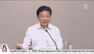 GE2025: PM Wong urges all parties to reject foreign endorsements in wake of foreign interference