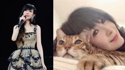 vivian_chow_retires_cats.jpg