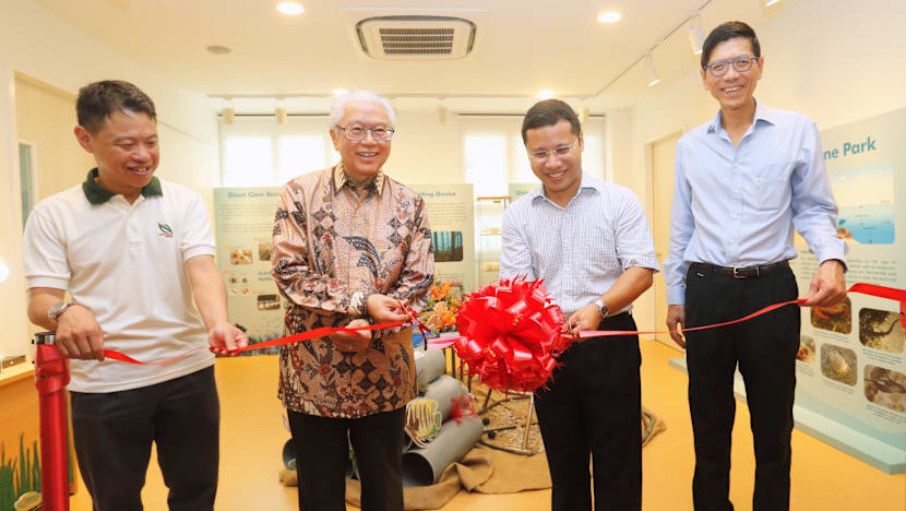 Sisters’ Island Park Public Gallery opens