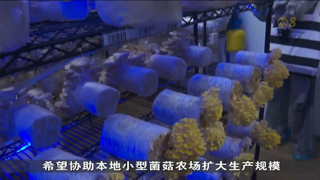 新加坡鲜农总会推动物流共享试点 盼降低运输成本