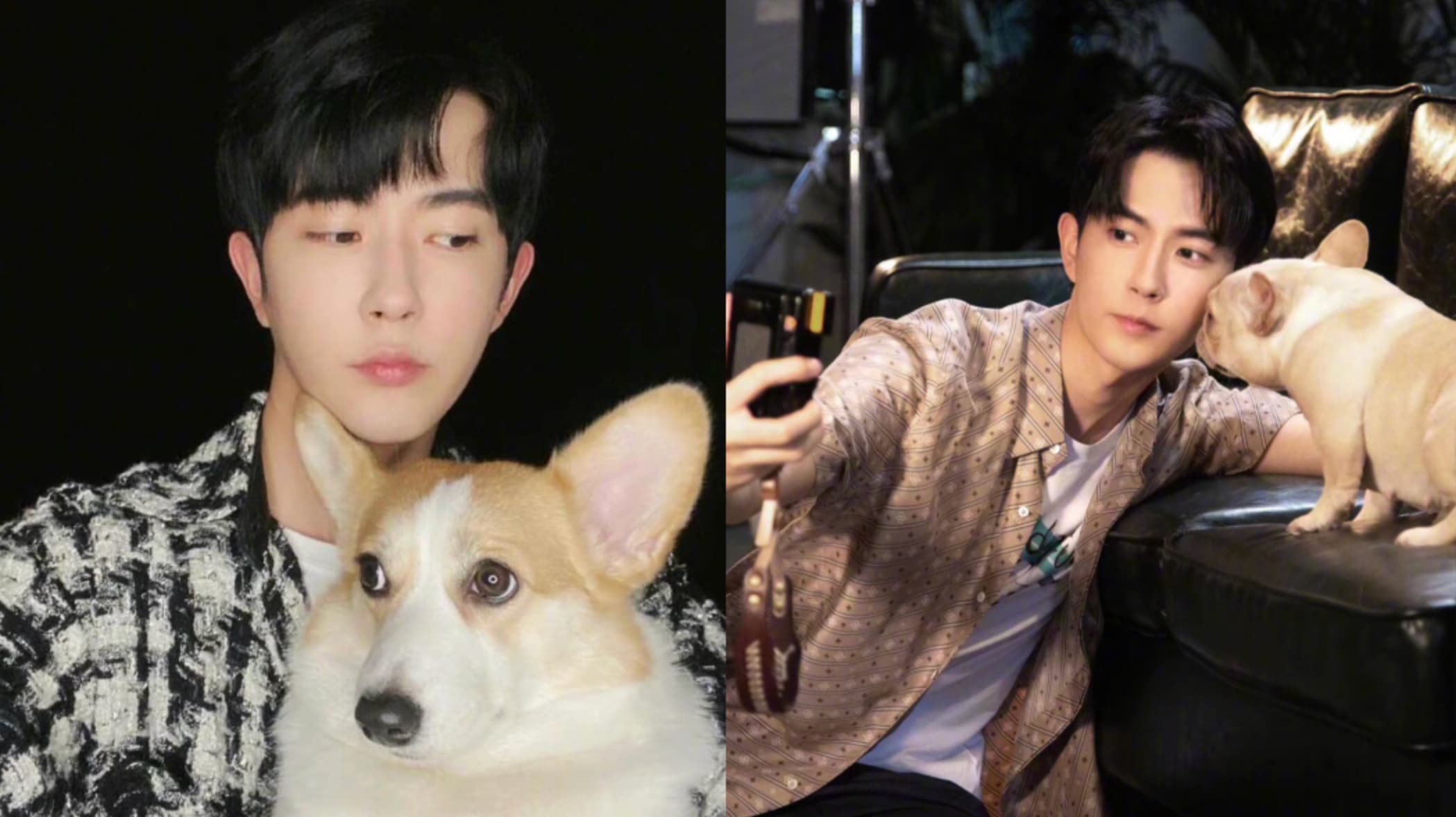 New Twist in Yu Menglong Case: Rumours Surround Deaths of His Two Dogs - 8days