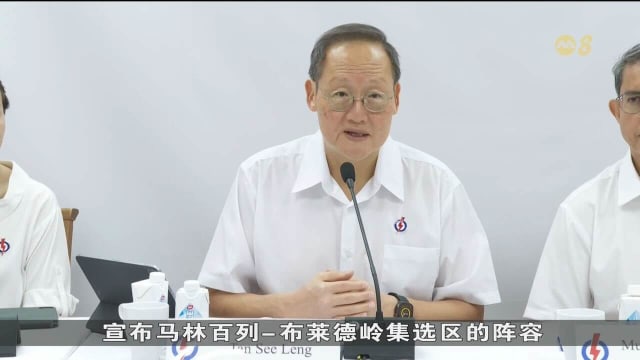 陈诗龙领军马林百列-布莱德岭集选区
