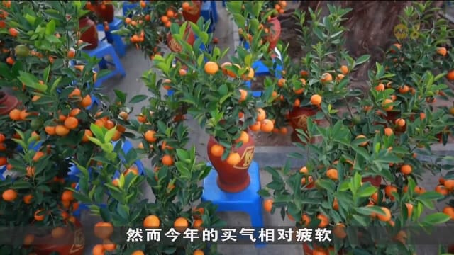 小年夜迎团圆 中国民众亦担心未来就业和经济前景