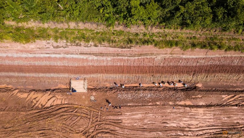 Dinosaur fossils in Brazil reveal new giant species