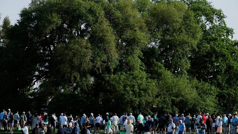 At the Masters, Augusta National's oak tree is where the golf does its deals