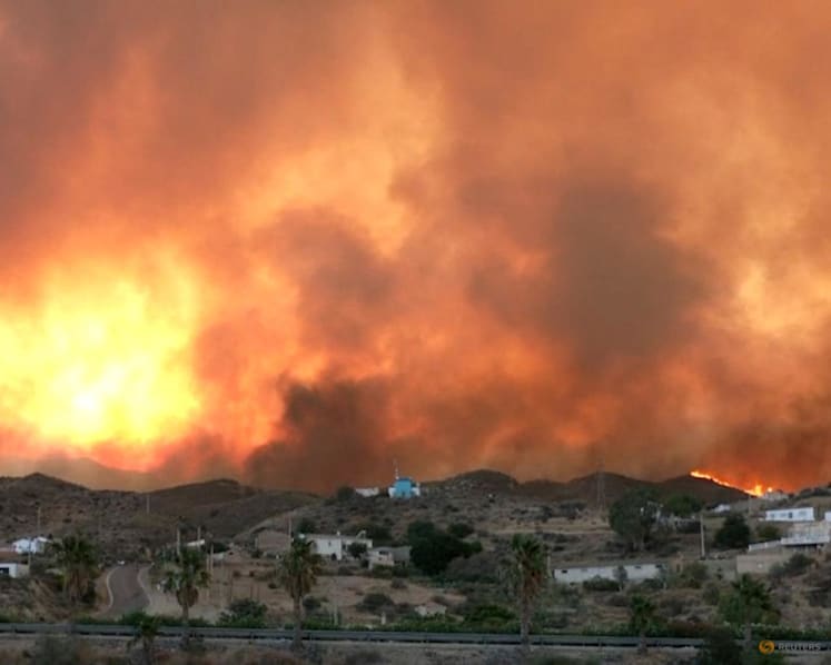Spain wildfire roars through village leaving 11 dead and 19 missing