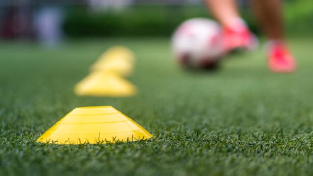 新加坡卓越体育奖学金今年新增17名得主