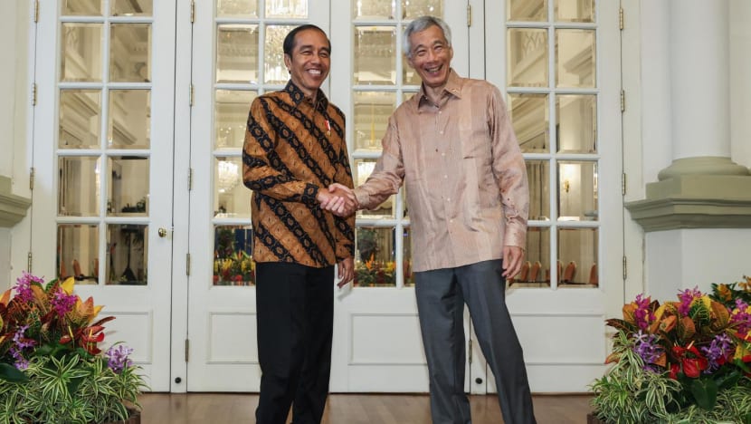 Analysis: New areas of Singapore-Indonesia cooperation will help cement ties beyond Jokowi’s term