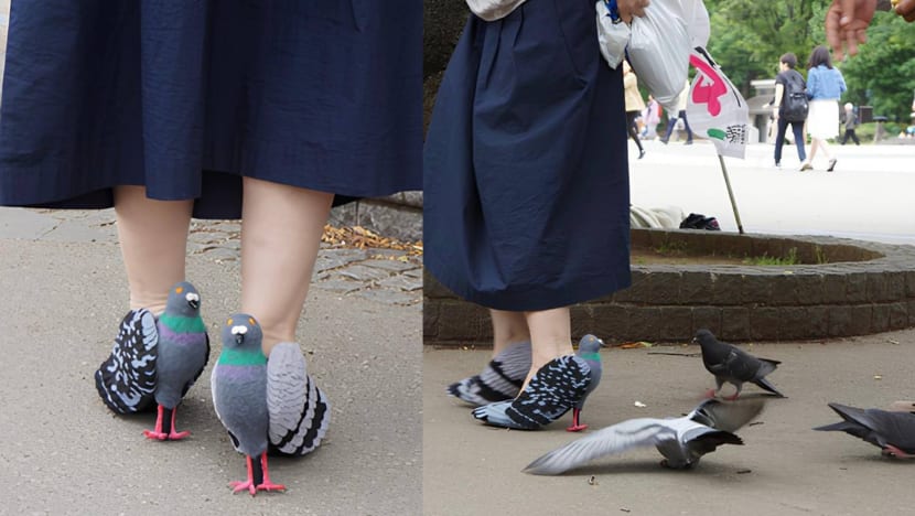 Japanese Designer Creates “Pigeon Heels” That Look Like The Real Thing — So She Could Be “Popular Among Pigeons” Japanese Designer Creates “Pigeon Heels” That Look Like The Real Thing — So She Could Be “Popular Among Pigeons”