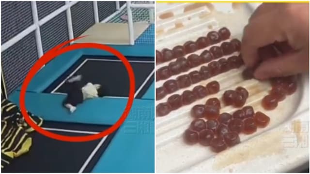 浙江男童玩蹦床喝奶茶 珍珠卡喉不幸窒息身亡