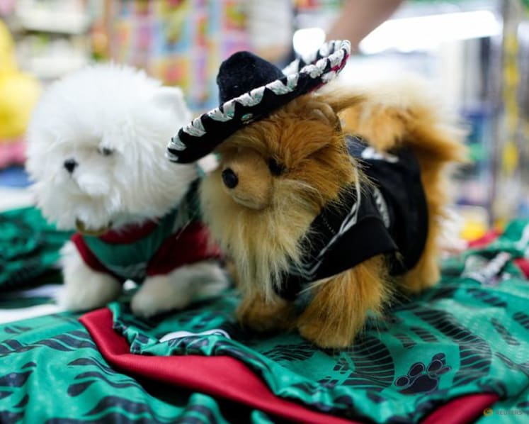 In Mexico, World Cup jerseys fit all shapes, sizes - and species