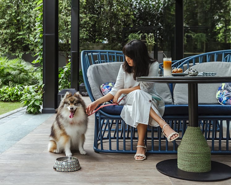 Need a getaway with your furry companion? More hotels are offering pet-friendly staycation options in Singapore 