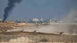 Related article image