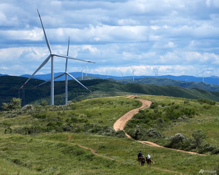 Commentary: China is the one keeping wind power revolution blowing