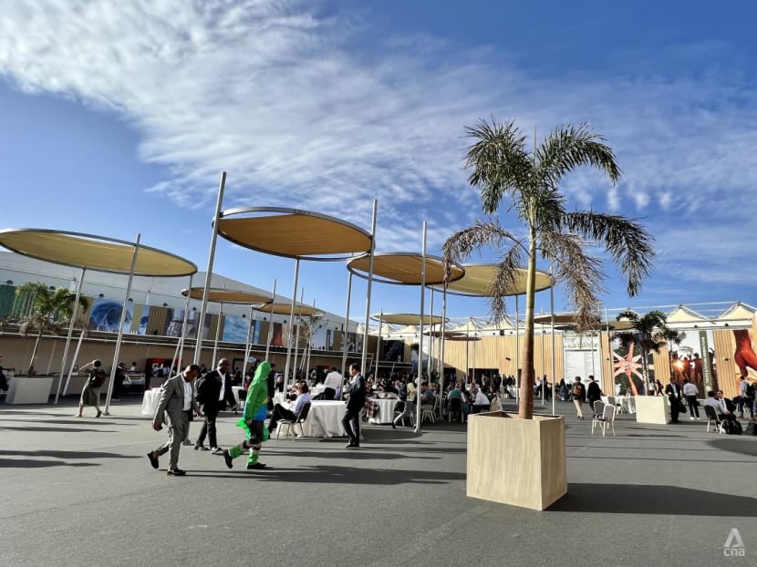 COP27: Lack of food, water and information test the mettle of climate delegates