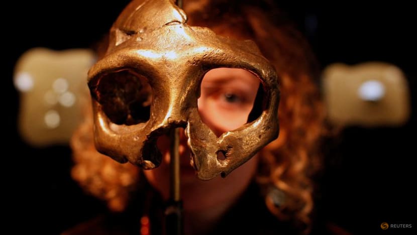 Genomes reveal timing of Homo sapiens interbreeding with Neanderthals