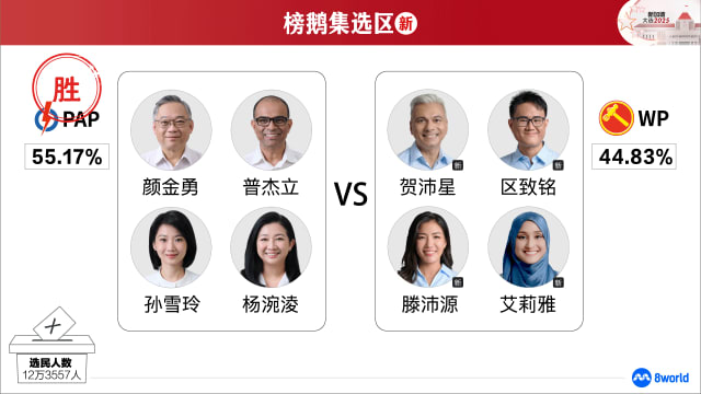 【GE2025】榜鹅集选区：人民行动党当选