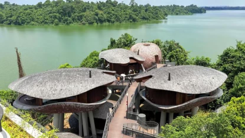 Mandai Rainforest Reserve tampilkan lebih 300 bilik, termasuk 24 rumah pokok