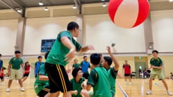 Related article image