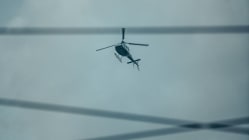 Related article image