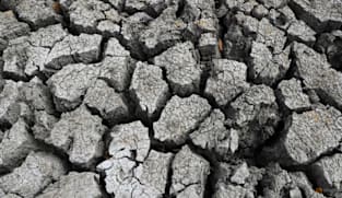 'Super El Nino' raises fears for Asia reeling from Middle East conflict