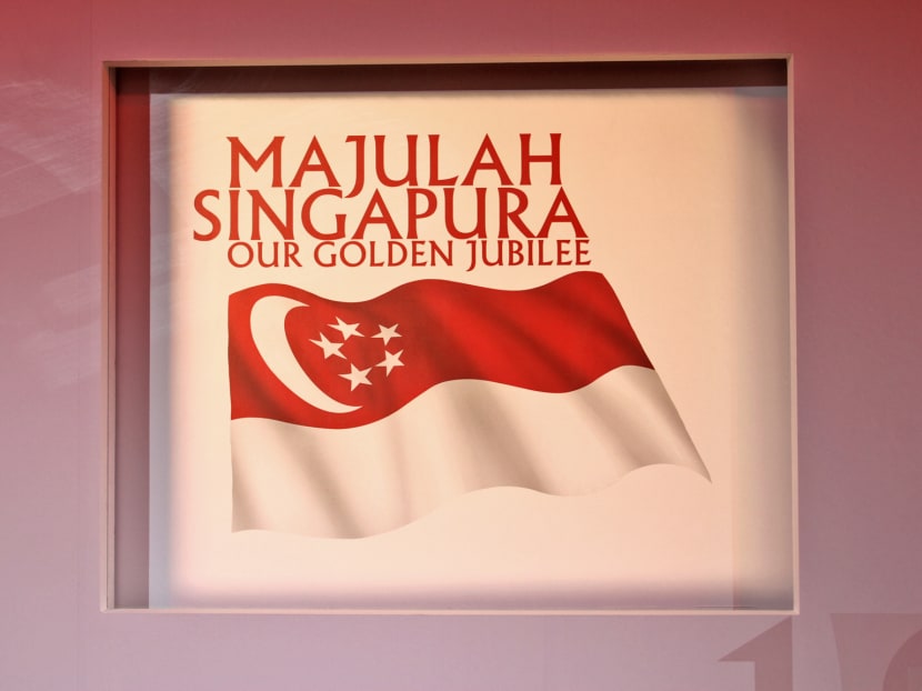 Aerial tribute to Mr Lee among NDP highlights