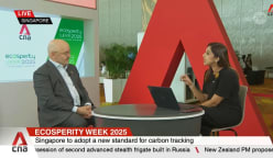 Singapore’s new carbon tracking system helps businesses cut emissions: WBCSD CEO