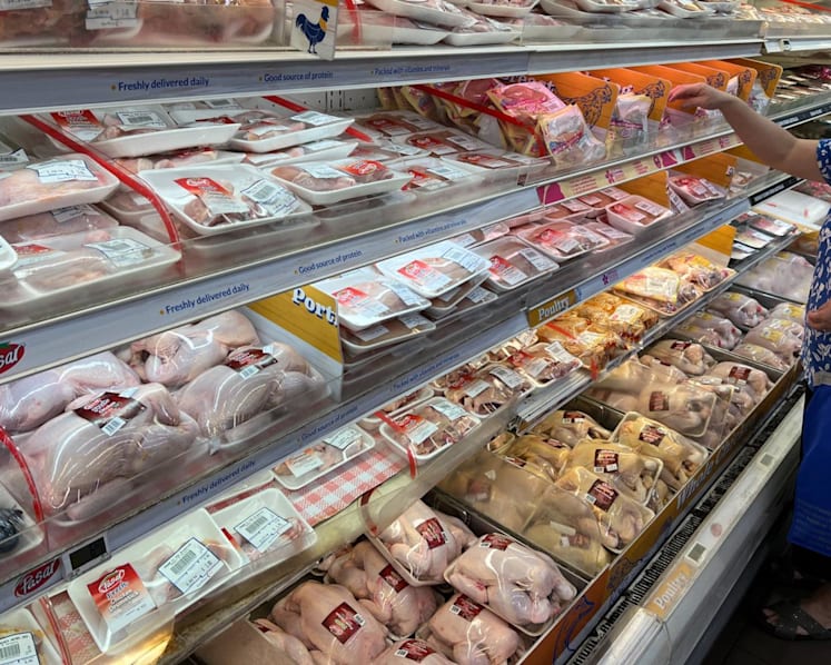 Singapore to import chilled, frozen, processed chickens from Indonesia; live chickens not part of arrangement