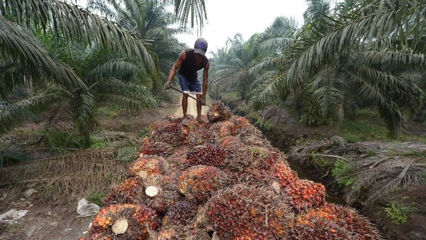 Corporate alliance aims to deliver ‘haze-free’ products