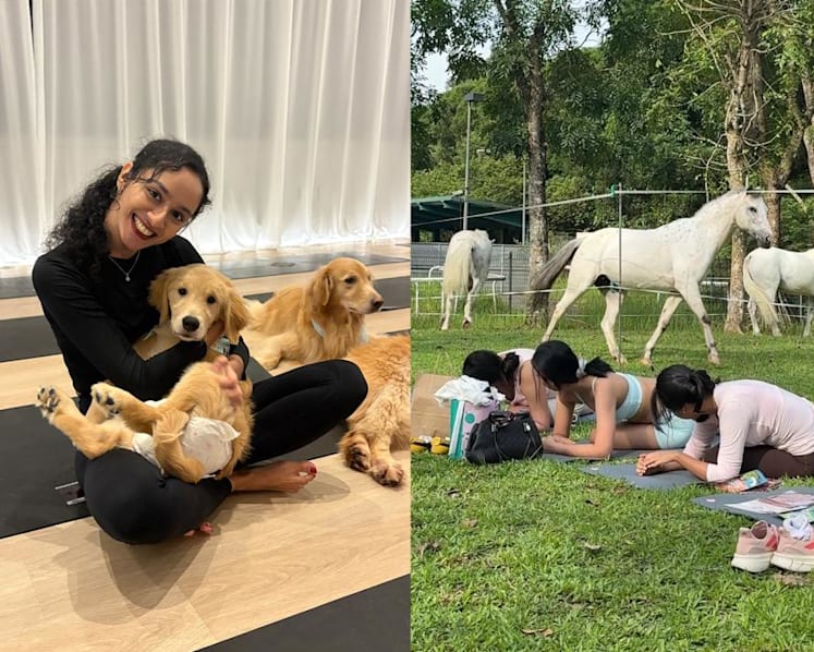 Puppies, ponies and Pilates: I tried some of Singapore’s most unconventional fitness classes