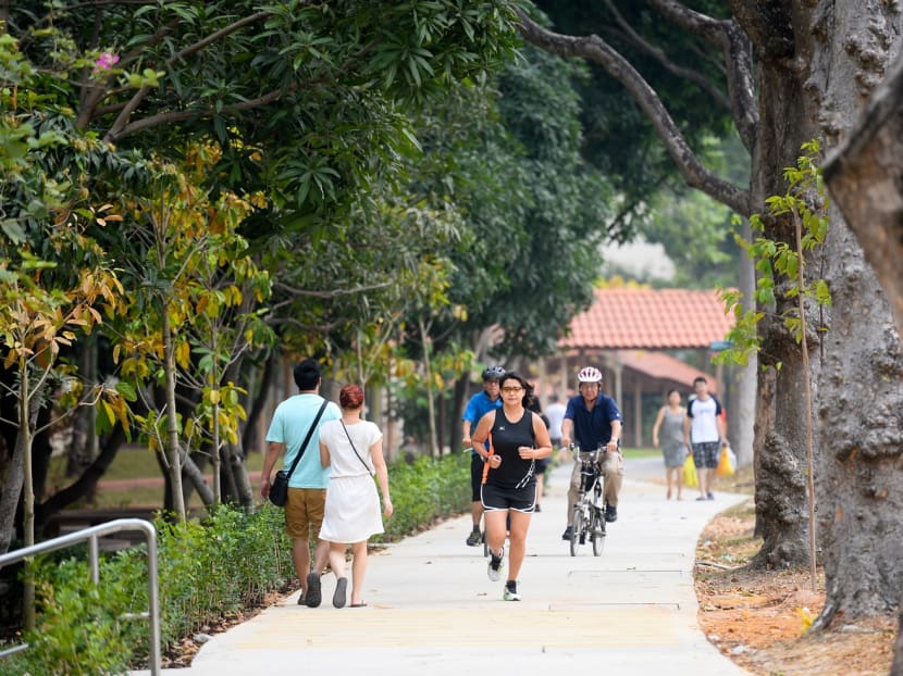 Hougang Avenue 3 Park Connector. Photo: NParks