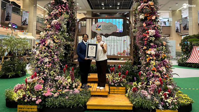 每周精选：1万2888朵鲜花点缀5米高秋千 我国创健力士世界纪录