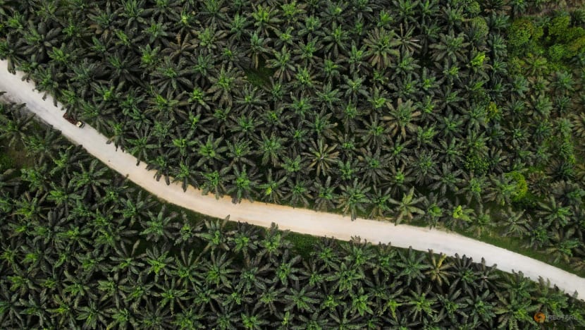 Indonesia arrests judges who cleared palm oil companies of graft charges