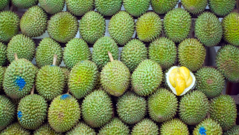 Disebut buah nasional Singapura, ternyata durian memang bisa tumbuh di Negeri Singa Disebut buah nasional Singapura, ternyata durian memang bisa tumbuh di Negeri Singa