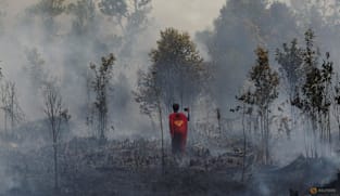 Hujan buatan: Indonesia memburu awan untuk redam kebakaran akibat El Nino