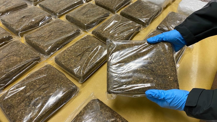 CNB seizes S$2.3m worth of cannabis and heroin; 40kg haul largest in two decades