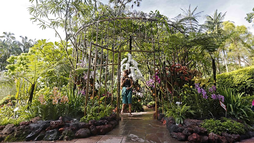 S$35m enhancements to National Orchid Garden by 2019